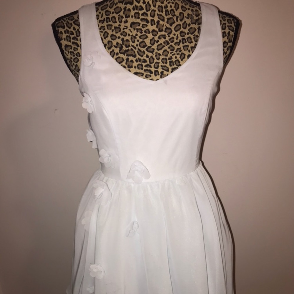 Cinderella Dress